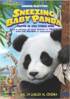 sneezing-baby-panda-trailer-italiano-foto-e-locandina-1
