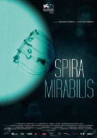 spira-mirabilis