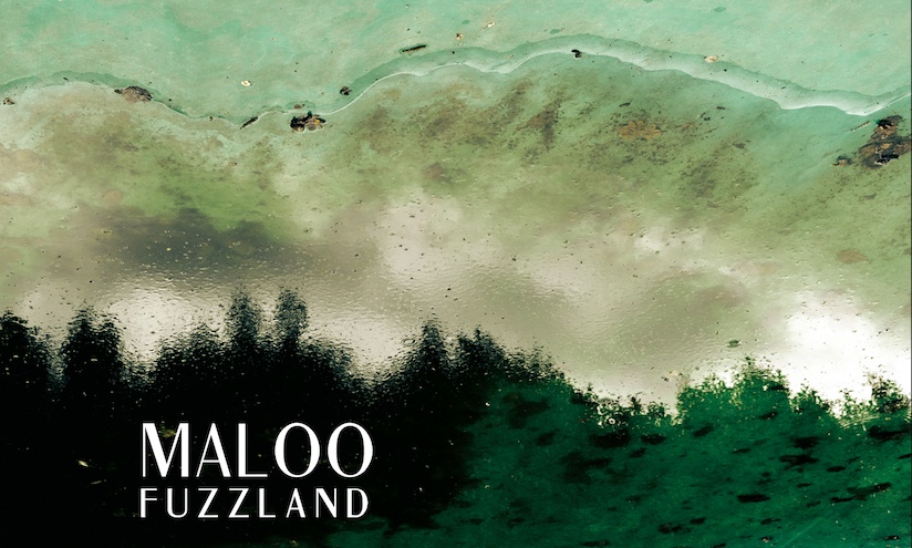 Una miscela di jazz, crossover, rock, prog, groove, minimalismo ed elettronica: Fuzzland è il nuovo progetto discografico della band Maloo, prodotto nella collana Controvento dall’etichetta Dodicilune. Distribuito in Italia e all’estero […]