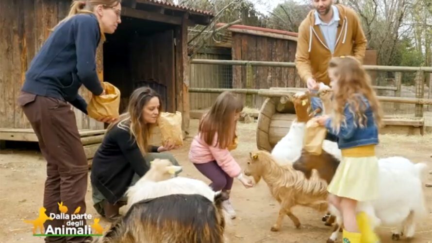 Il parco a tema ospita la nota trasmissione TV di Rete4 condotta da Michela Brambilla per insegnare ai piccoli a conoscere e rispettare gli animali. A tu per tu con […]