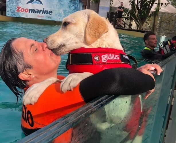 Splash Dog per la Giornata Mondiale del Cane a Zoomarine. Non solo sport acquatici a 4 zampe ma anche una campagna contro l’abbandono e per la sicurezza in acqua con […]