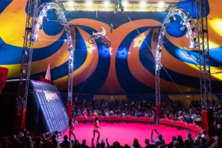 Gravity circus Milano